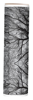 SISER1032 - Spooky Trees