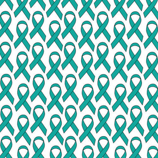 Heat Transfer Warehouse Solid Teal Ribbon 