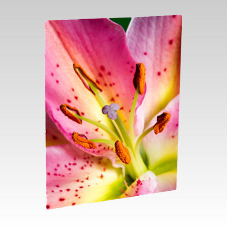 Unisub Photo Panel US-4008 