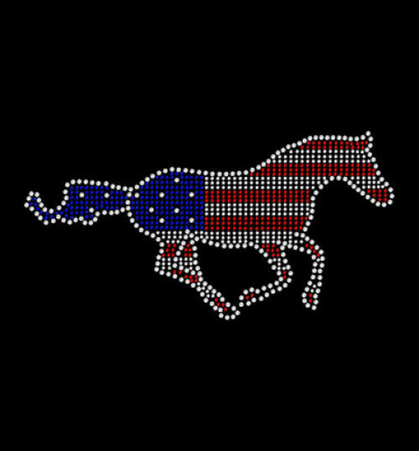  American Horse 