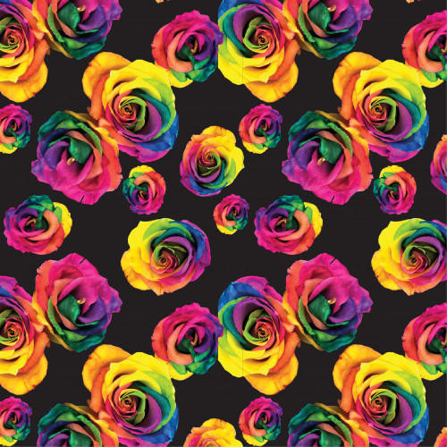 Heat Transfer Warehouse Rainbow Roses on Black HTV 