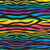  SISER1054 - Rainbow Zebra 