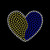 Downs Syndrome Heart