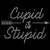  Cupid is Stupid 