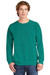 Comfort Colors COMFORT COLORS ® Ring Spun Crewneck Sweatshirt 