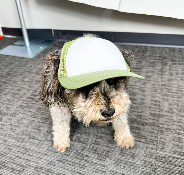 Puplids Dog Trucker Hat - Main Image