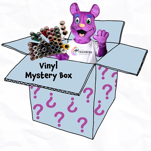 Vinyl Mystery Box