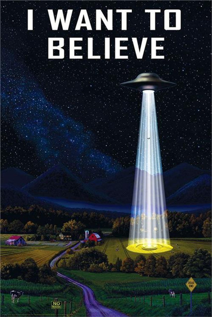 natal Design IWANTTOBELIEVE POSTER ポスター IWANTTOBELIEVE POSTER - NATAL DESIGN ONLINE SHOP