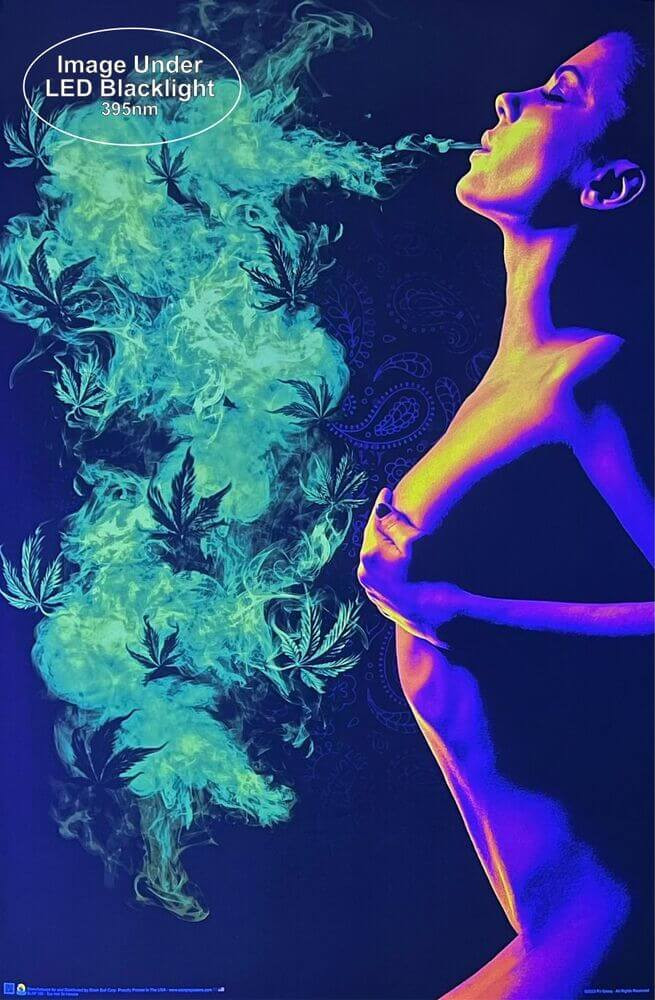 Too Hot to Handle Non-Flocked Blacklight Poster - 24