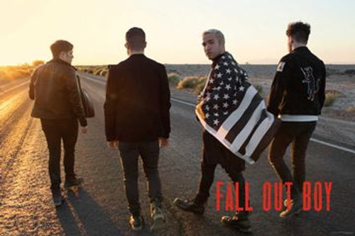 Fall Out Boy - Group Flag Poster - 36" X 24"