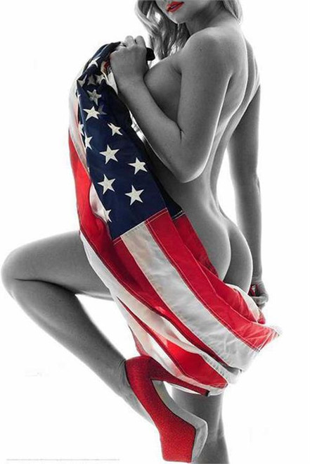 American Wrapped by: Daveed Benito Poster - 24" X 36"