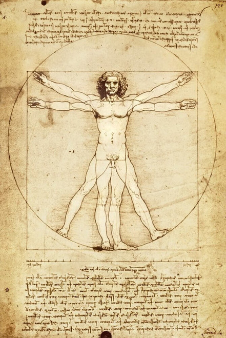 Leonardo Da Vinci Vitruvian Man Poster - 24" x 36"