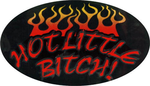 Hot Little Bitch - Large - 4.5" x 6" - Sticker