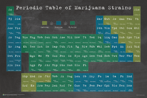 Periodic Table of Marijuana Poster 36x24 inches