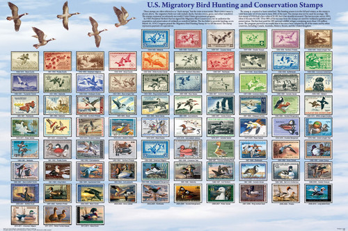 U.S. Migratory Bird Hunting and Conservation Stamps Educational Poster 36x24