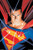 Superman - Portrait Poster - 22.375" x 34"