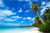 Beach With Palm Trees Poster - 24" X 36"