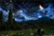 Starry Night Artist - Poster - 36" X 24"