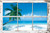 Tropical Window Poster - 24" X 36"