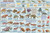 Mammal Evolution Educational Science Teacher Classroom Chart Print Poster 24x36