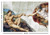 Michelangelo Creation of Adam Poster - 36" x 24"