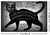 Black Cat Spirit Board Alchemy Mini Poster - 17 x 11 in.