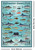 Saltwater Game Fish Poster - 24" x 36"