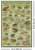 North American Frogs & Toads Poster - 24" x 36"