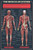 The Muscular System Poster - 24" x 36"
