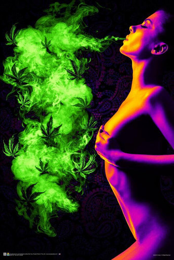 リトグラフ「The shades of Night」 人気作品　※74/120 Too Hot to Handle Non-Flocked Blacklight Poster - 24