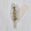 White sage ritual smudge stick incense small by lulani moon therapies product image