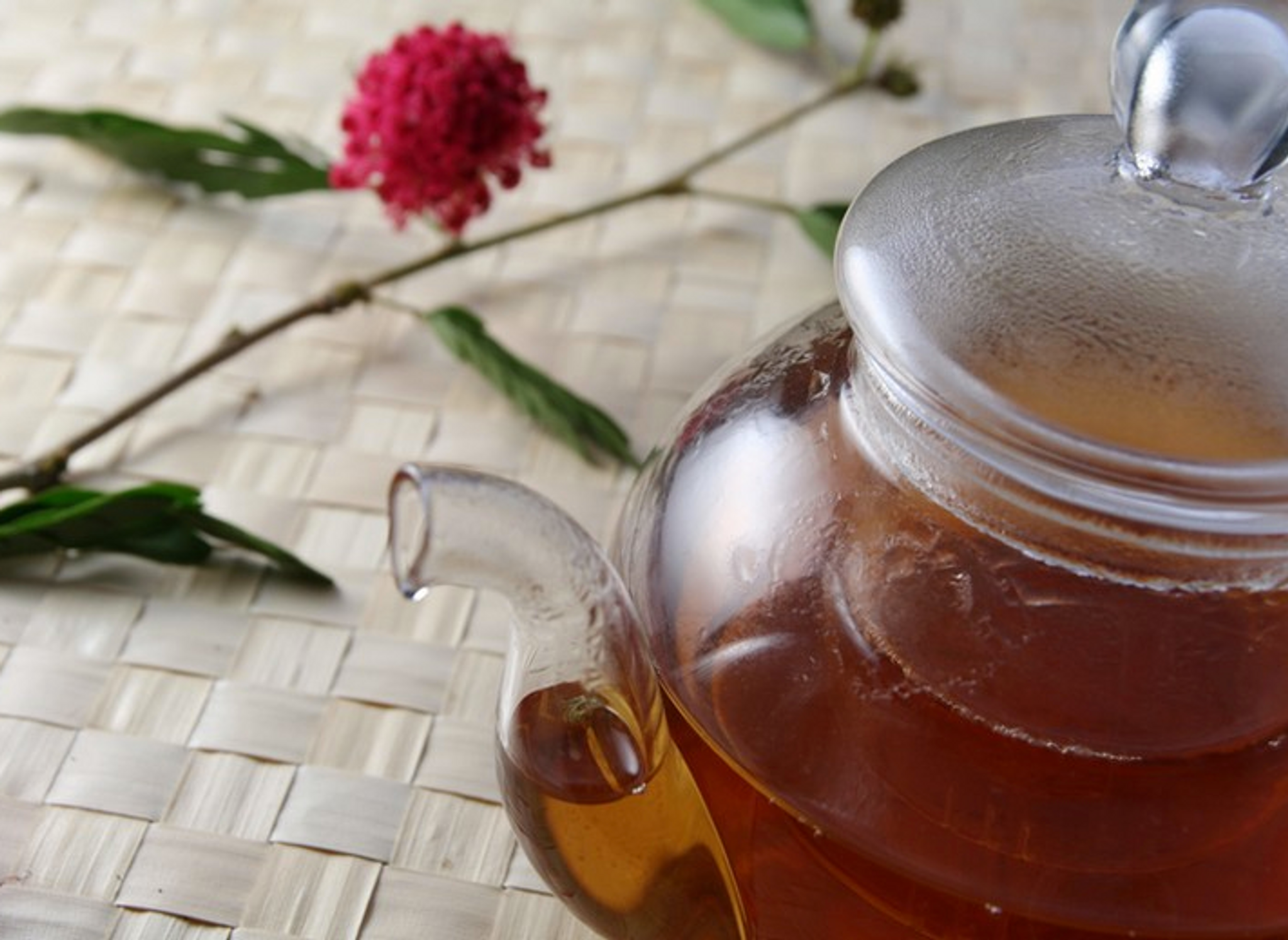 Hair colour alchemist - beneficial herbal teas & liquids that can be used in your home hair colours