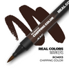 AK Real colour marker (chipping color)