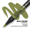 AK Real colour marker (us interior yellow green)