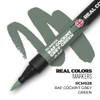 AK Real colour marker (rlm 79)