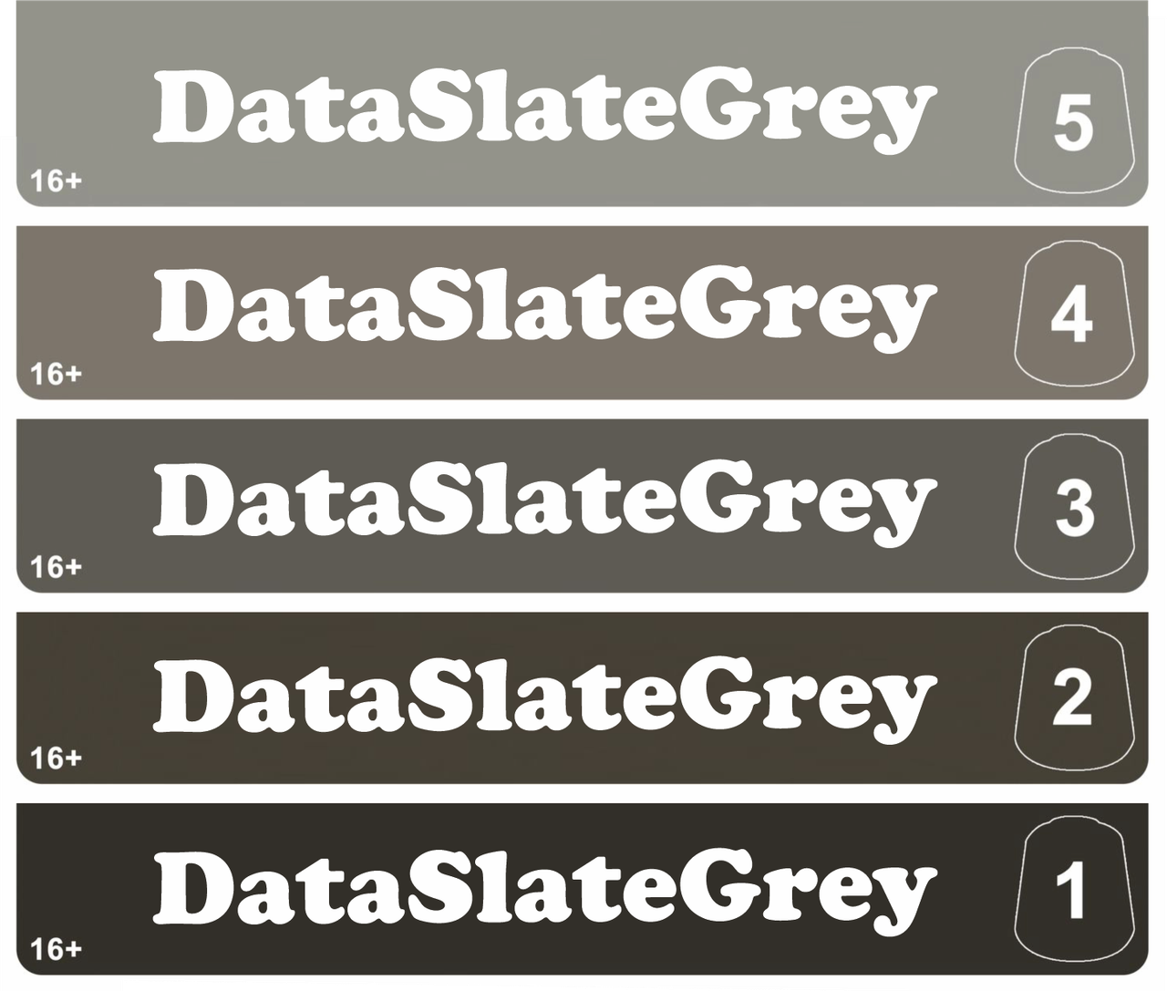 Dataslate Grey Tone Pro Paint - 12ml