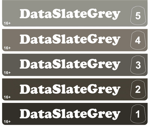 Dataslate Grey Tone Pro Paint - 12ml