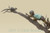 798 Three Boys With Squirrel On Tree- Bronze Sculpture
