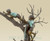 798 Three Boys With Squirrel On Tree- Bronze Sculpture