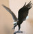 115M Monumental Eagle Bronze Statue by Jules Moigniez 