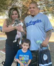 A message from Bully Breeders Co.