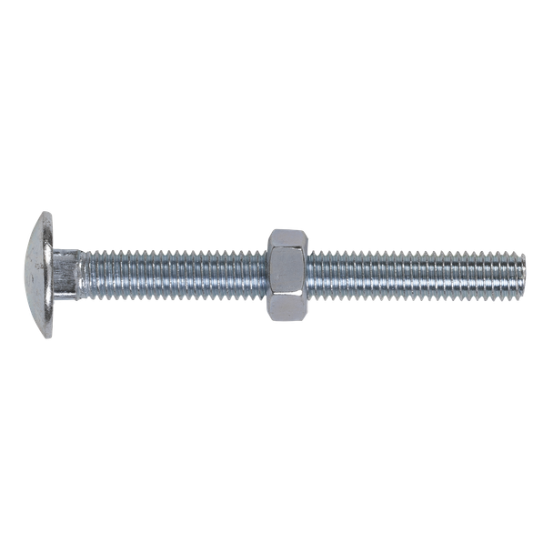 Coach Bolts (Carriage Bolts)