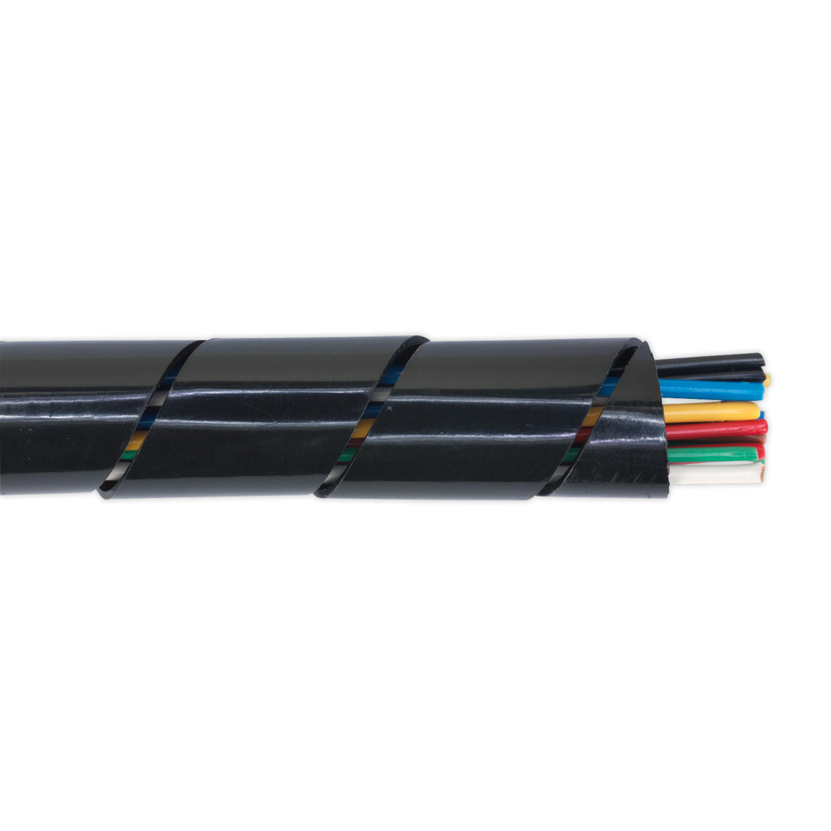 Conduit & Spiral Wrap