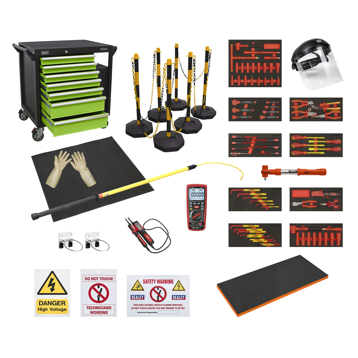 EV & Hybrid Servicing