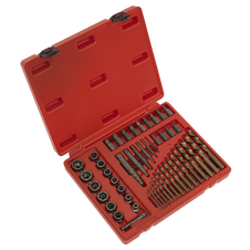 Sealey AK8149 Master Extractor Set 49pc