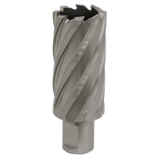 Worksafe RBHSS31L 31mm HSS Mag Drill Bit Cut Depth 50mm
