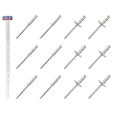 Sealey RVSET Clip Strip Deal - Aluminium Rivets