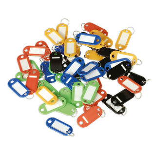 Sealey SKTAG50 Key Tag Assortment 50pc