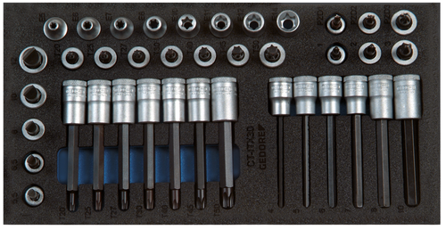 Gedore 2308983 1500 CT1-ITX 30 Set of 3/8" screwdriver bits in check tool module