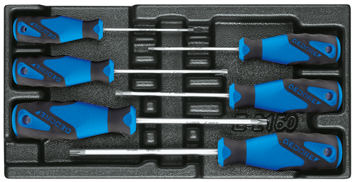 Gedore 1616625 1500 ES-2163 TXB Screwdriver set in 1/3 ES module